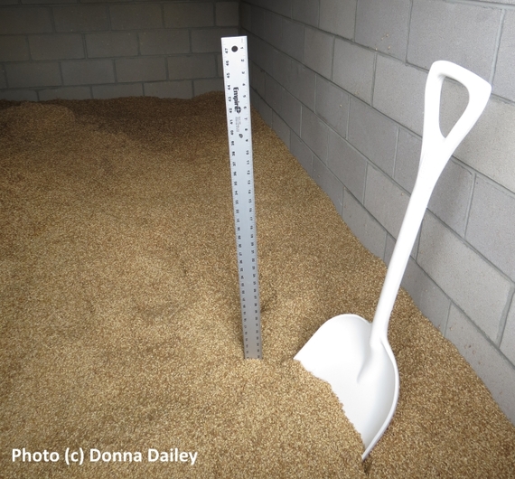 2016-04-01-1459521721-8149956-Leopold_Brothers_Distillery_Denver_malt_shovel.jpg
