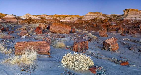 2016-04-07-1460046709-4308121-PetrifiedForestArizonaPetrifiedForest.jpg