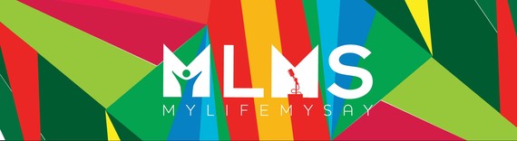 2016-04-22-1461353723-121092-MLMS_BANNER_9.jpg