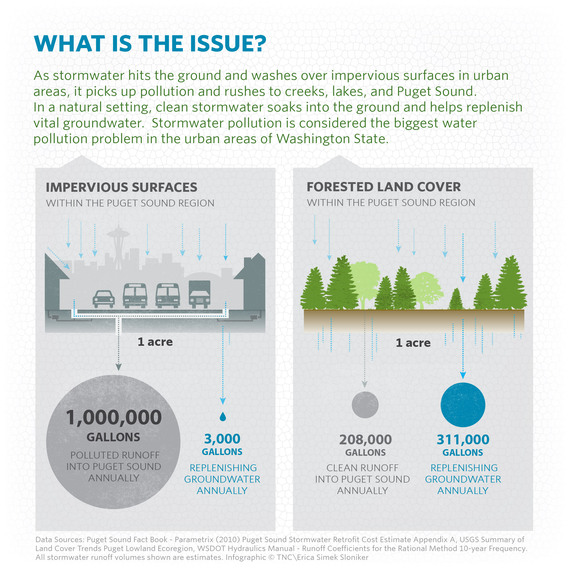 2016-04-25-1461582961-8567411-GreenInfrastructureSummit_Infographic_20160401_Artboard2.jpg