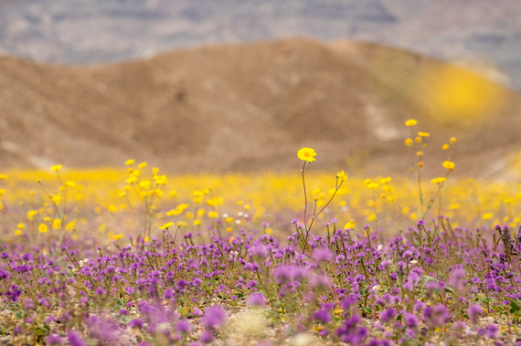 2016-04-25-1461597763-3278807-DeathValleyNationalPark013.jpg