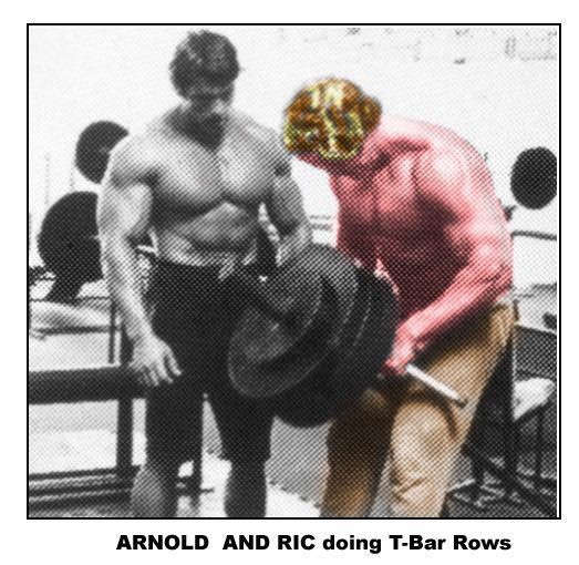 5 Day Arnold Swansinger Workout for Beginner