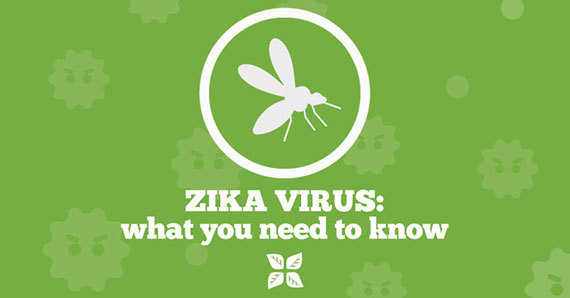 2016-04-29-1461937515-6019113-160429Zikavirus.jpg