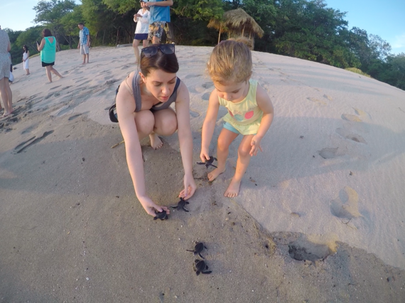 2016-04-30-1461986700-2791971-8BabyTurtleRelease.png