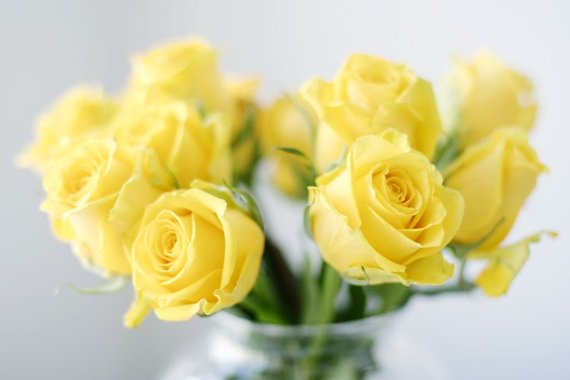 2016-05-01-1462142119-4888809-yellowroses.jpg