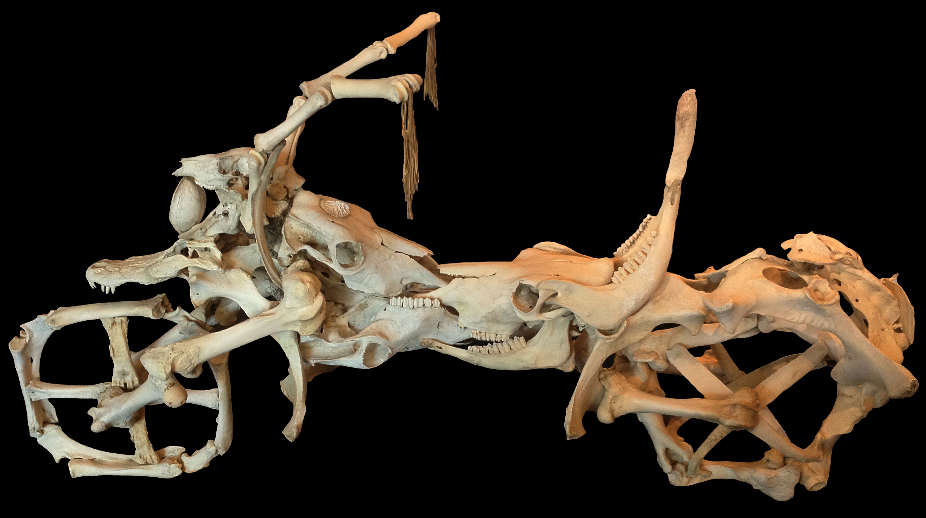 Что можно сделать из костей. Мебель из человеческих костей. Скелет химеры. Необычные кости животных.