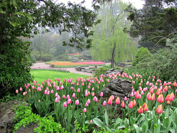 Celebrate Spring At Canada's Most Beautiful Public Gardens | HuffPost ...