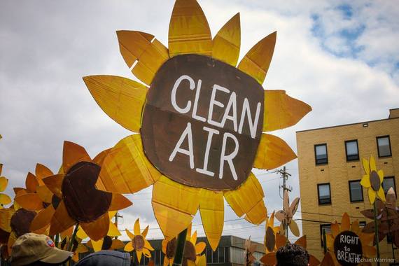 2016-05-10-1462910106-938535-CleanAirSunflower.jpg