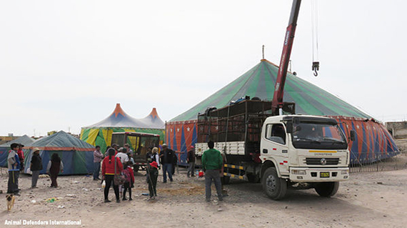 2016-05-11-1462927164-5691983-6_ADI_truck_at_circus.jpg