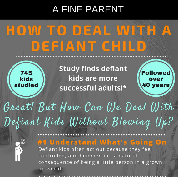 How to Deal With a Defiant Child (Infographic) | HuffPost Life