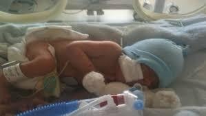 2016-05-17-1463472688-4259077-nicu.jpg