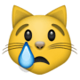 2016-05-26-1464294273-8413218-cryingcatface.png