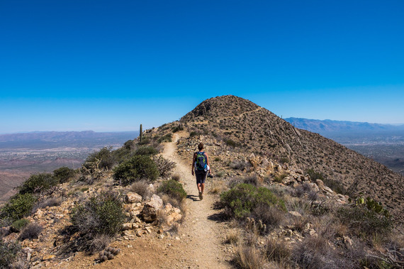 2016-05-30-1464628258-852327-SaguaroNationalPark113.jpg