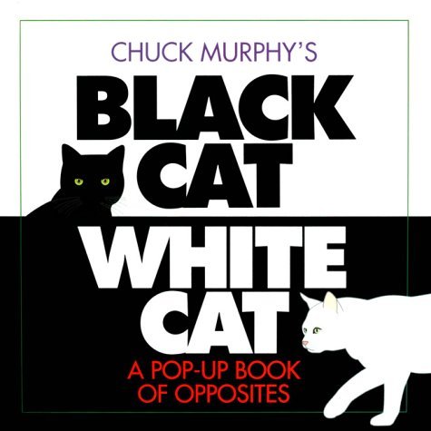 2016-05-31-1464725393-4752076-Blackcatbookcover.jpg