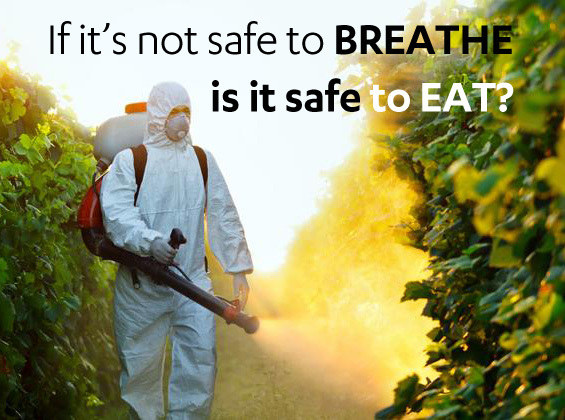 2016-05-31-1464738225-3788312-Ifitsnotsafetobreatheisitsafetoeat.jpg