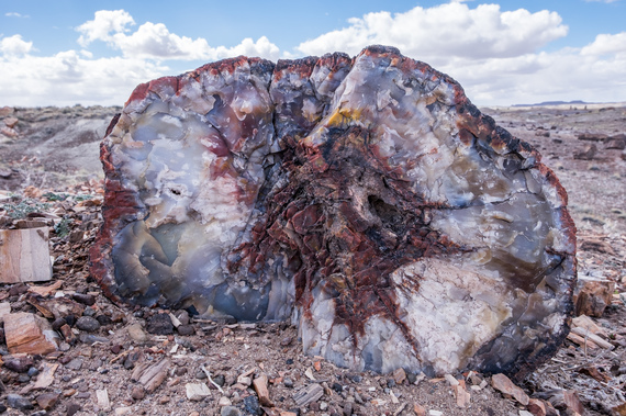 2016-06-01-1464802442-8189885-PetrifiedForestNationalPark310.jpg