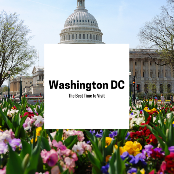 2016-06-05-1465163115-7252292-HuffPost_BestTimeToVisitDC.png