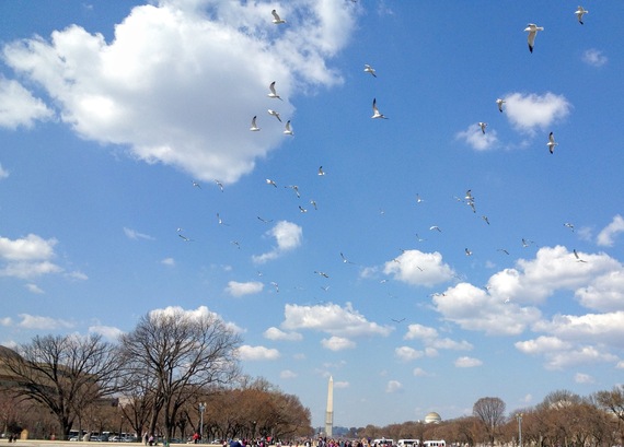 2016-06-05-1465164745-27587-besttimetovisitwashingtondc_FolkLife.JPG