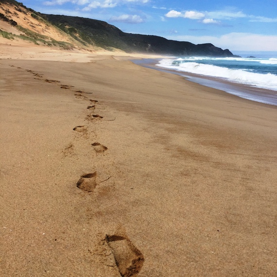 2016-06-07-1465276477-5911371-CatrionaPollardGreatOceanWalk12.jpg