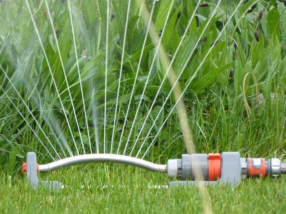 2016-06-07-1465286442-6358807-sprinkler.jpg