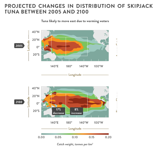 Impact of climate change on skipjack tuna distribution