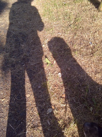 2016-06-14-1465916895-5419072-Shadowbestmates.jpg