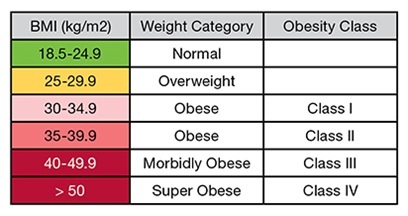 Morbidly Obese Chart