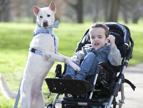 2016-07-13-1468389704-672797-SoidogMiracleandKyle.jpg