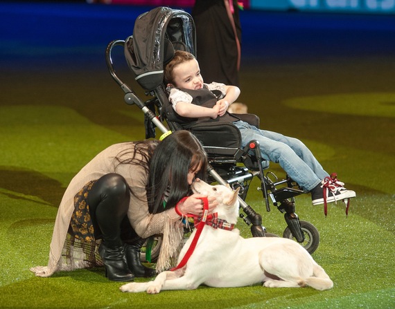2016-07-13-1468389750-2435136-SoidogMiracledogshow.jpeg