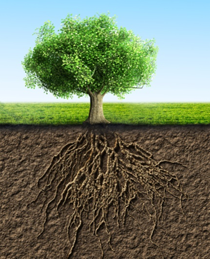 2016-07-19-1468948804-7884983-rootcause.png