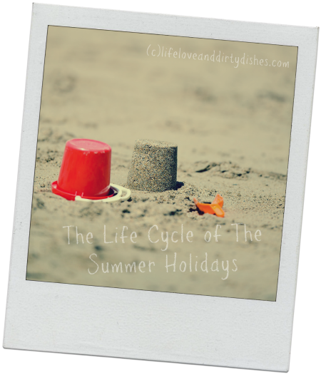 2016-07-19-1468956177-314912-SummerHolidaysPostImage.png
