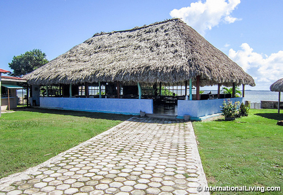 2016-07-24-1469376478-2228480-hpBlueIguanaCorozalBelize.jpg