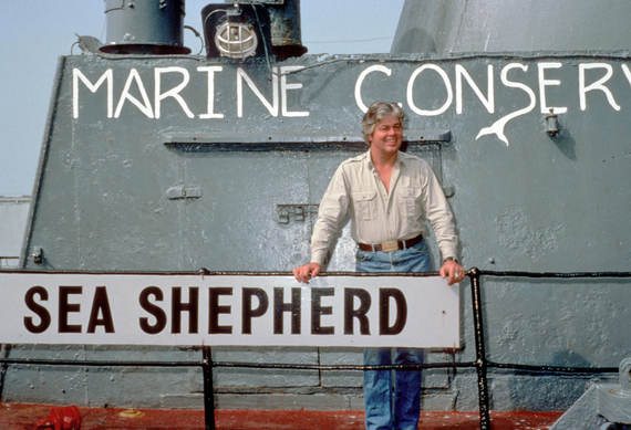 2016-08-04-1470340589-1361975-seashepherdfoundercaptainpaulwatson903.jpg