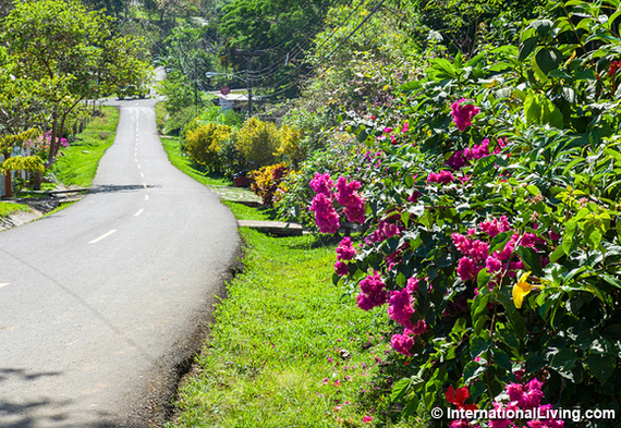 2016-08-04-1470349274-8605133-hpRoadsideFoliageSantaFePanama.jpg