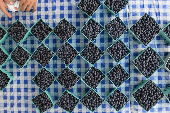 2016-08-04-1470349317-5968196-Blueberries.JPG