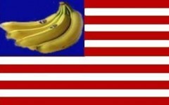 2016-08-09-1470769246-4583059-BananaRepublicflag.jpg