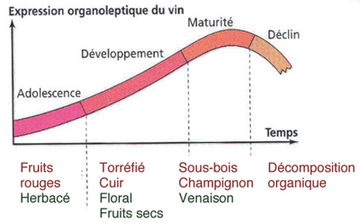 2016-08-16-1471309853-7130278-evolutionaromesvin.jpg