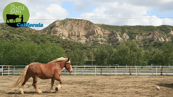 2016-08-19-1471571800-2901257-barn1.jpg