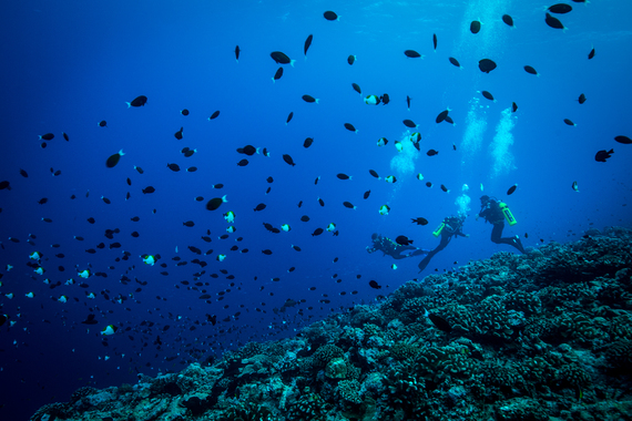 2016-08-22-1471873071-7118061-MergulhonocoraldoatolAmanu.jpg