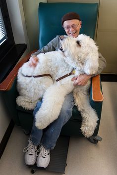 2016-08-25-1472106044-4399390-dogs.darrelldowney.yuki.labradoodle.ownerlouisegisolfi.fyiuiowa.edu.jpg