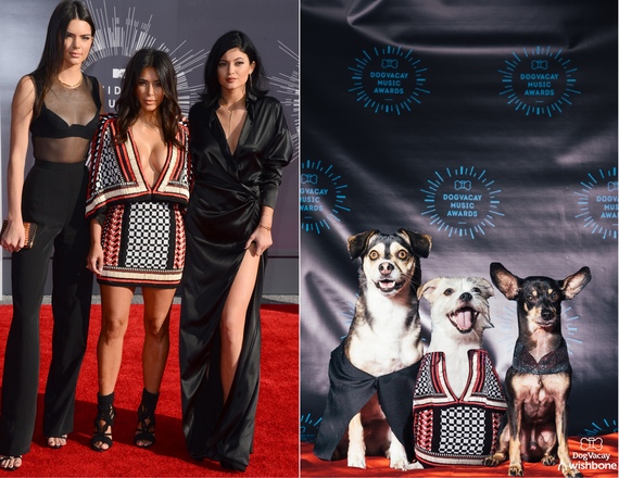 2016-08-26-1472170270-3691622-KardashiansDogvacayWishbone.jpg