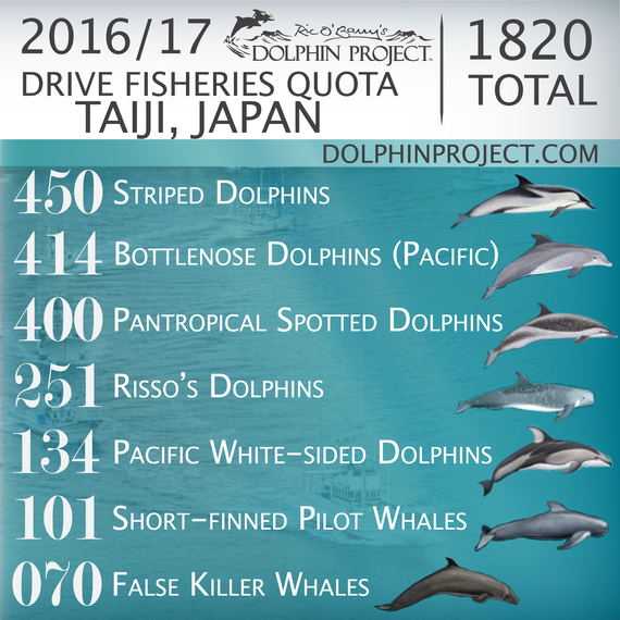 2016-09-01-1472691759-5546492-FINAL20162017Taiji.png