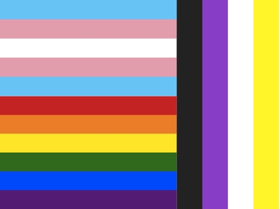 2016-09-01-1472749240-4788879-TransLGBTGNCflag.jpg