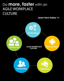 Enable an Agile Workplace Culture