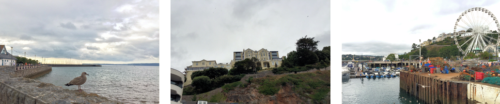 Seven Super Places To Go In Torquay | HuffPost UK Life