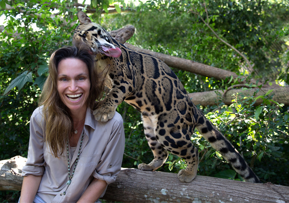 2016-09-13-1473795529-6525390-AnnewCloudedLeopard3Thailand11_15.jpg