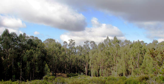 2016-09-23-1474589193-355534-lakechabot.jpg