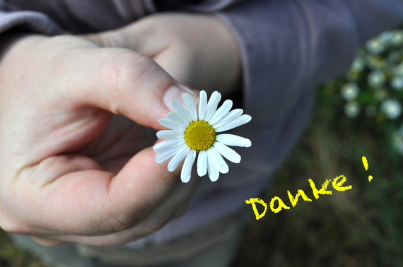 2016-09-26-1474896476-6178539-Danke.jpg