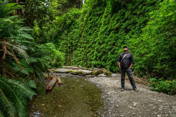 2016-10-05-1475634927-925275-RedwoodsNationalPark017.jpg