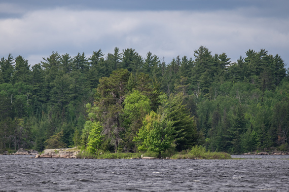 2016-10-11-1476153131-3810481-20160606JIVoyageursNationalPark_DSF7097.jpg